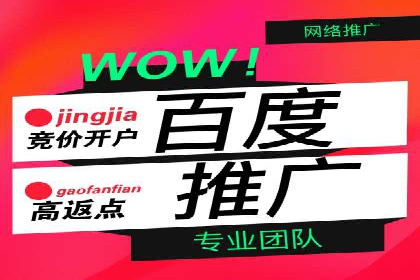 百度搜索推广实战经验：经典案例剖析